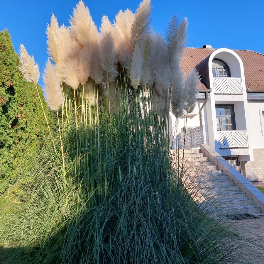 Napfeny Villa 巴拉顿菲赖德 外观 照片